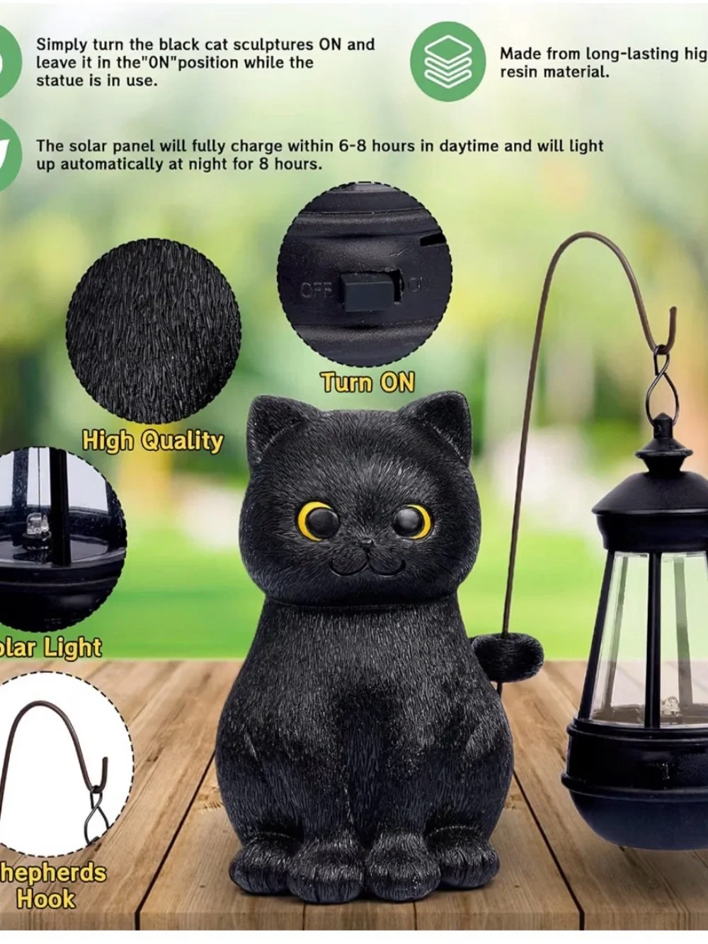 Amazon playful black